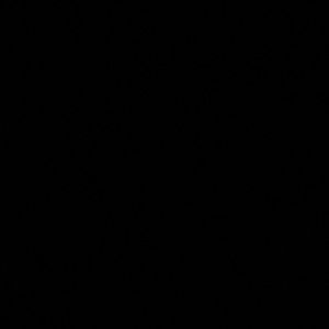 Meet your Posher, Lacy